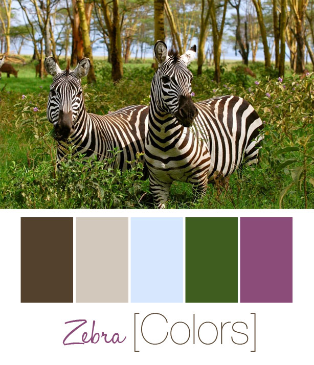 Kenya & Safari Inspired Nursery Color Palette