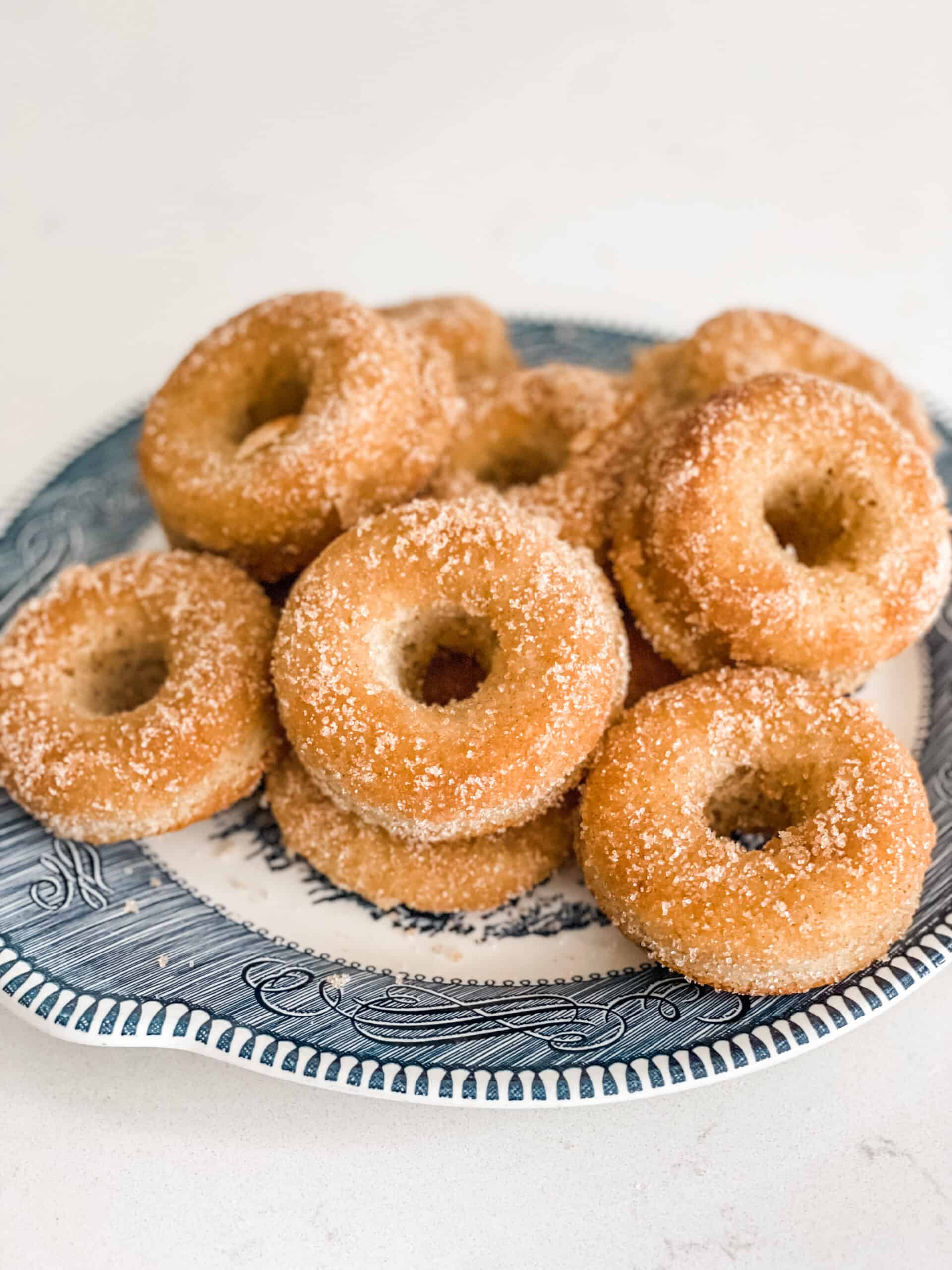 https://www.stillbeingmolly.com/wp-content/uploads/2023/06/baked-cinnamon-sugar-donuts-scaled.jpg